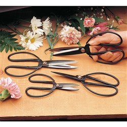 Chinese Scissors (Set of 4)
